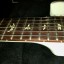 **cambio** PRS USA DAVE NAVARRO SIGNATURE custom 24 NUEVA