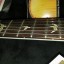 **cambio** PRS USA DAVE NAVARRO SIGNATURE custom 24 NUEVA