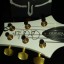 **cambio** PRS USA DAVE NAVARRO SIGNATURE custom 24 NUEVA