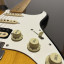 Fender Stratocaster Japan