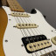 Fender Stratocaster Japan