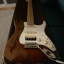ESP GL-56 Signature Series