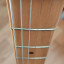 Fender Stratocaster American Pro 2019