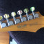 Ibanez Jem 20th Anniversary, Steve Vai Signature