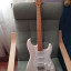 Squier stratocaster classic Vibe 50's