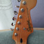 Squier stratocaster classic Vibe 50's