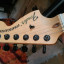 RESERVADA: Fender Stratocaster Jim Root USA