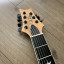 PRS Mark Holcomb SVN Walnut