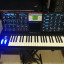 MOOG VOYAGER ELECTRIC BLUE EDITION