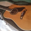 Guitarra Suzuki Wos-260