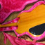 Guitarra Epiphone SG Korina