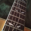 Guitarra Suzuki Wos-260