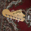 Squier Bass VI