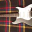 Fender Stratocaster made in Japan