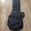 FENDER DOBLE GIG BAG