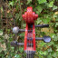 Violoncello eléctrico Harley Benton