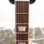 Gibson USA Les Paul Traditional PRO  - Alpine White Gold (gastos de envío incluidos)..