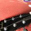 Guitarra Electroacústica Fender DG5
