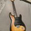 Fender Stratocaster 1981 Hardtail Perfecto Estado