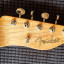Fender Telecaster "La Burrita"