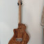 Guitarra de luthier "AM Dragonfly" construida por Alberto Martínez