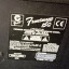 FENDER FRONTMAN 15G