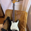 Fender Stratocaster Custom Shop Dual Mag Roasted