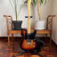 Fender Telecaster American Professional II RW