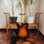 Fender Telecaster American Professional II RW