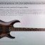 Guitarra eléctrica ESP-LTD