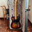 Fender Telecaster American Professional II RW