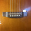 Takamine EG630S-VV