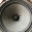 CELESTION G12M-25 ,1977(Made in England)