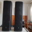 2 Turbosound IP300 + 2 Gator Tote IP300