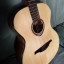 Guitarra Lag Tremontane T300A