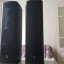 2 Turbosound IP300 + 2 Gator Tote IP300