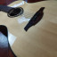 Guitarra Lag Tremontane T300A