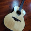 Guitarra Lag Tremontane T300A