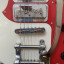 Eastwood Guitars Fyrbird Sharkbite