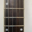 Eastwood Guitars Fyrbird Sharkbite