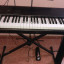 Piano Korg New SG 1