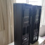 2 Turbosound IP300 + 2 Gator Tote IP300