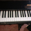 Piano Korg New SG 1