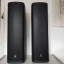 2 Turbosound IP300 + 2 Gator Tote IP300