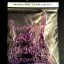 PICKGUARD Purple Perloid FENDER NUEVO en su bolsa