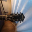Gretsch Chet Atkins Tennesse Rose