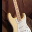 69 Stratocaster (Partcaster)