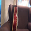 Gretsch Chet Atkins Tennesse Rose
