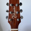 Takamine P1JC - Jumbo Cutaway