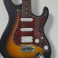 Cort g110 HSS Open Pore Sunburst